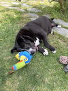 Danny - Photo 4