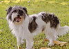 Ricky and Lucy - Photo 4
