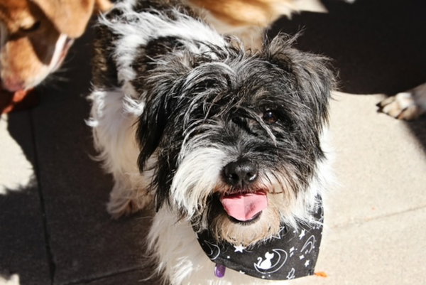 Lucy