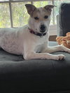 Oakley - Photo 1