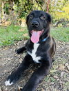 Benjamin - Photo 3