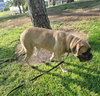 ETHEL - Photo 2