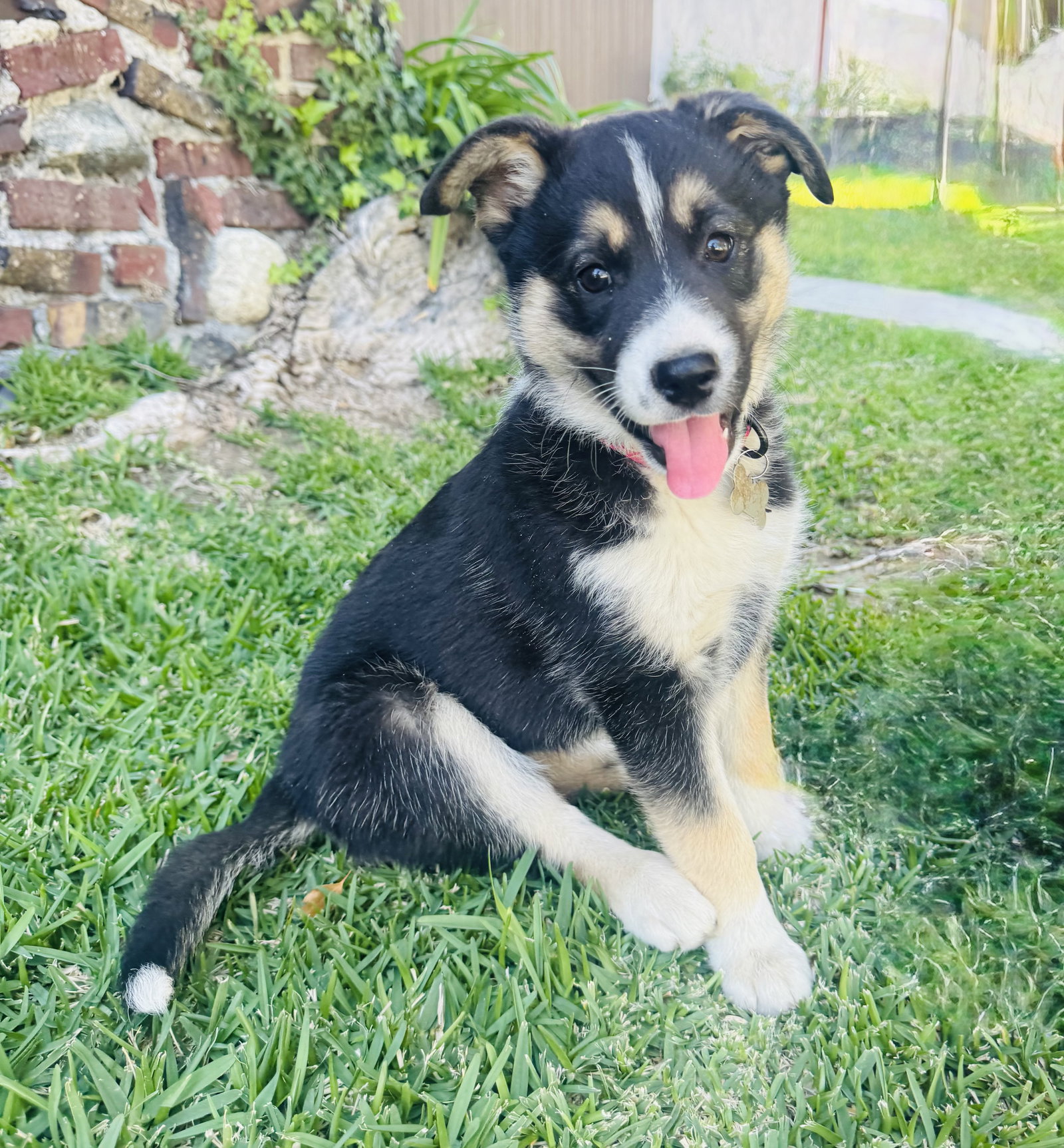 Molly