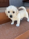 Sugar - Photo 4