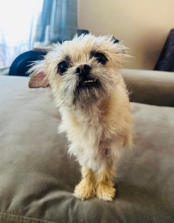 Bea