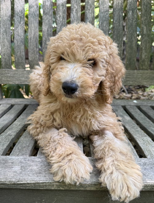 Ernie photo 2