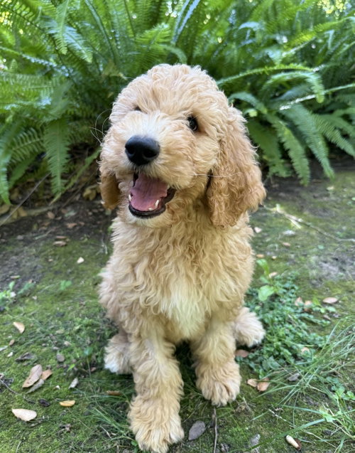 Ernie photo 3