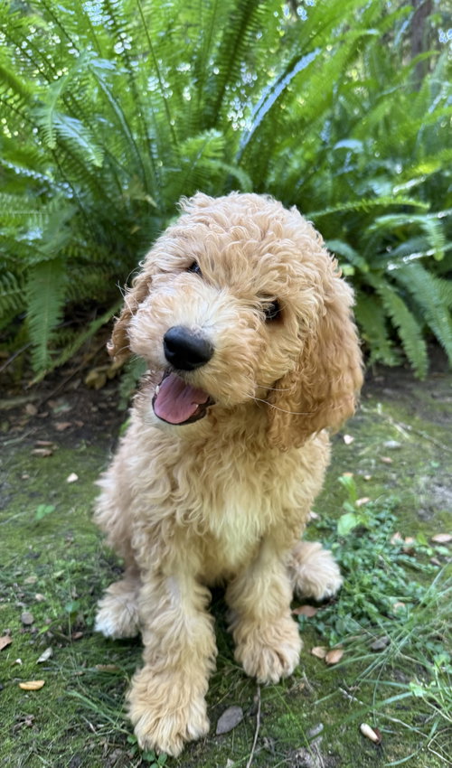 Ernie photo 4
