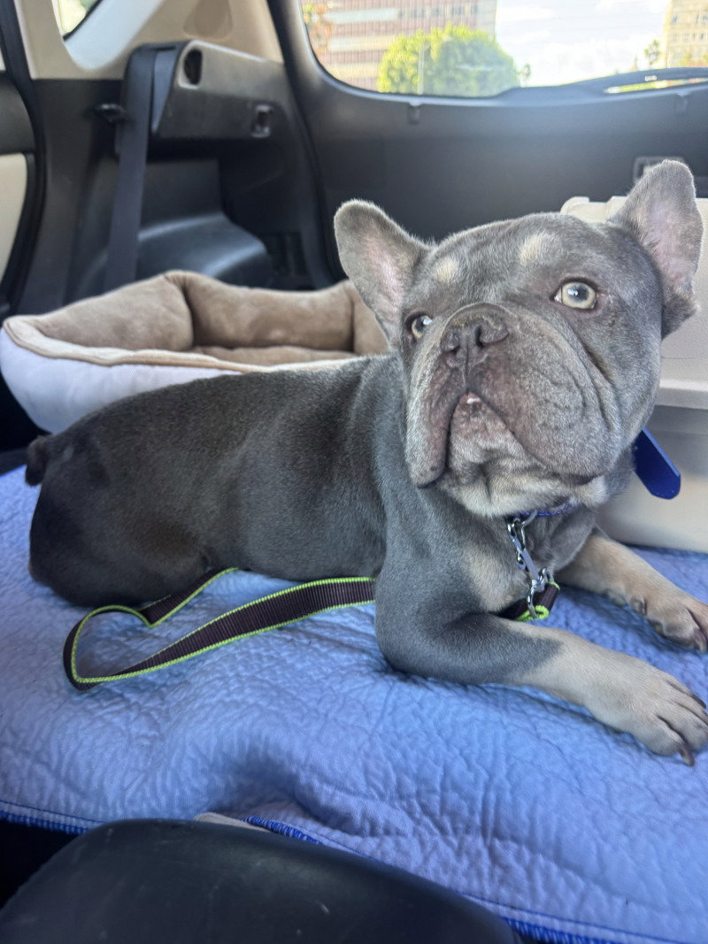 Walter