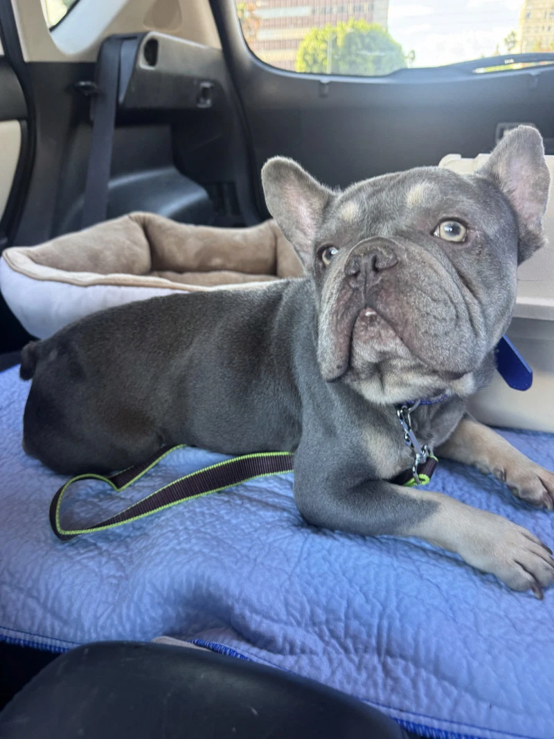 Walter