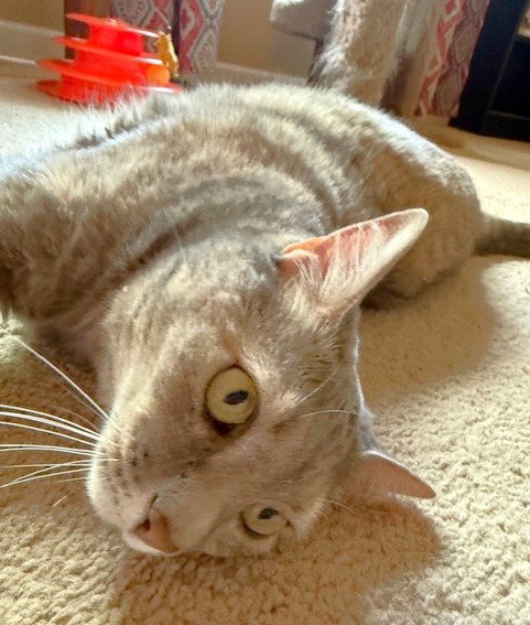 Photo 2 of Cleopatra
