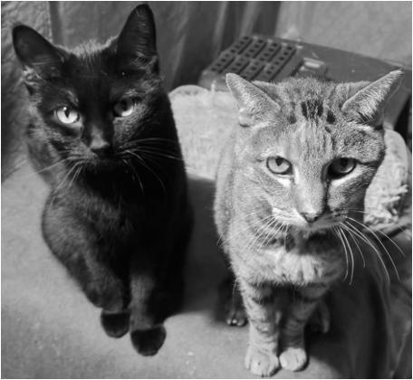Onyx and Mickey