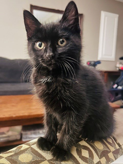 Max