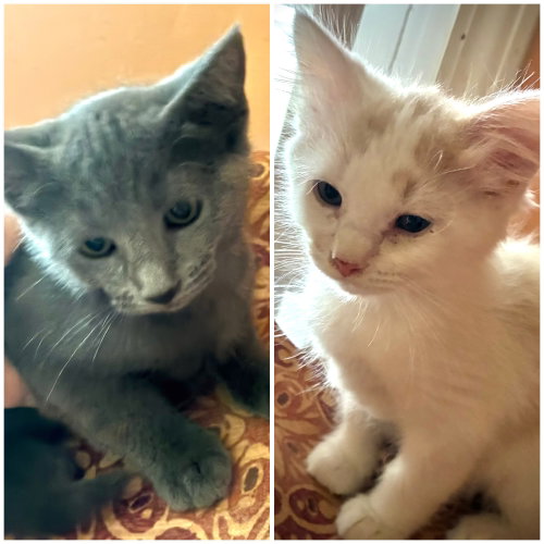 Whitey and Willa