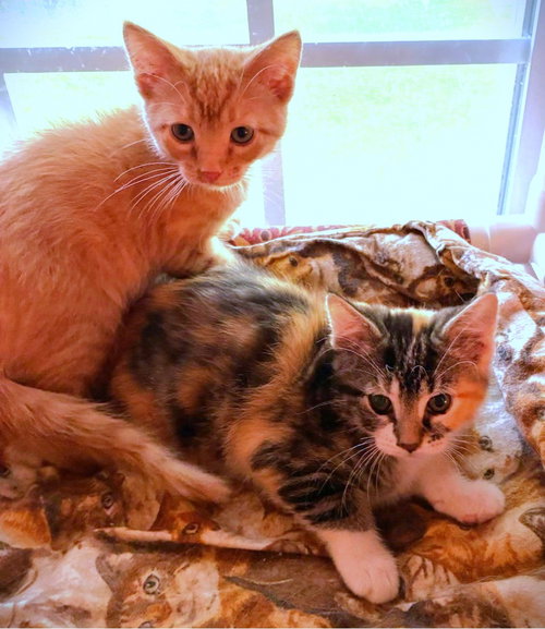 Wynnie and Wilson