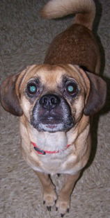 Roscoe