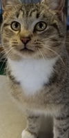 Oliver