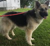 Roxie