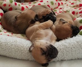 Cuddles baby 2