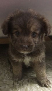 Tucker