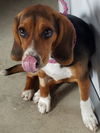 Lucy