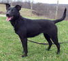 Tessie