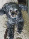 Tilly Mae
