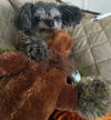 Tilly Mae