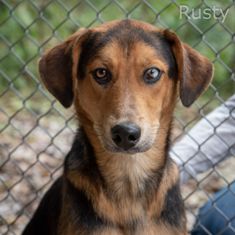 Rusty