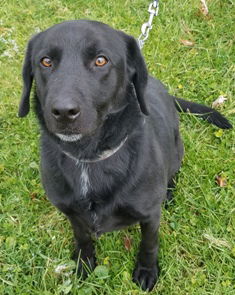 Duke