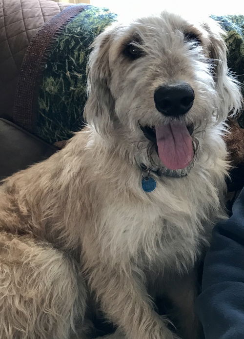 Logan