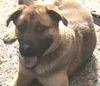 Roxy