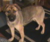 Roxy