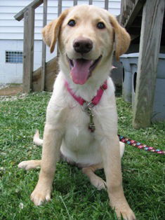 Roxy