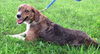 Annie 1 / Video