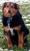 Treska