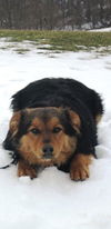 Treska