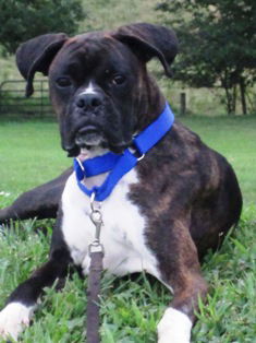 Tyson