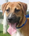 Tyson
