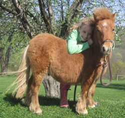 Red/Adopted by A. Gibson/P/U (HC) end of August