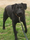 Dufus/Video