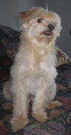 Ronnie