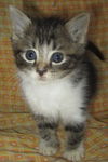 Ricki