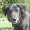 Naomi/Adopted P/U end of Sept. $50.00 deposit (HC)