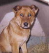 Duke