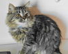 Jackie ADOPTED P/U 1/3/13