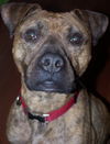 Tyson / Video