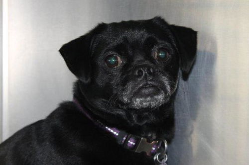 Lucy