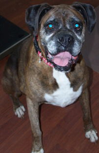 Roxy