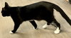 Shilling - Liz's Foster - Photo 3